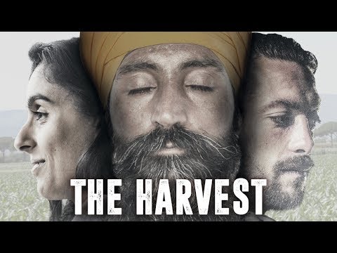 The Harvest – Anteprima a Bologna e da febbraio nei cinema