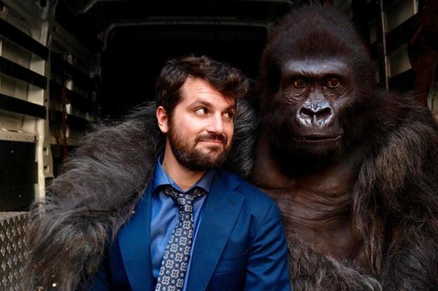 Un gorilla salva la famiglia di Matano