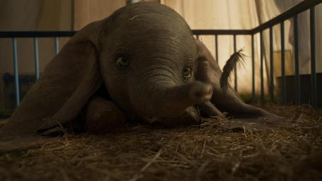 Cinema: Tim Burton, Dumbo? l’elefantino sono io