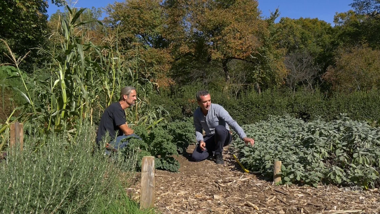 Giovedì andrà in onda, su laF, la prima puntata della seconda stagione di “Giardini fantastici e dove trovarli”