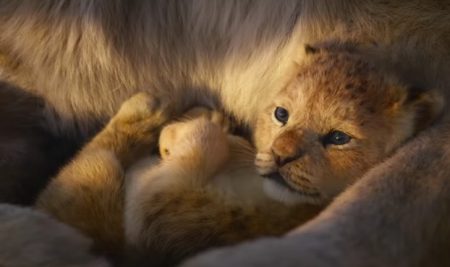 ‘Il re leone’, il nuovo trailer – “Devi prendere il tuo posto nel cerchio della vita”