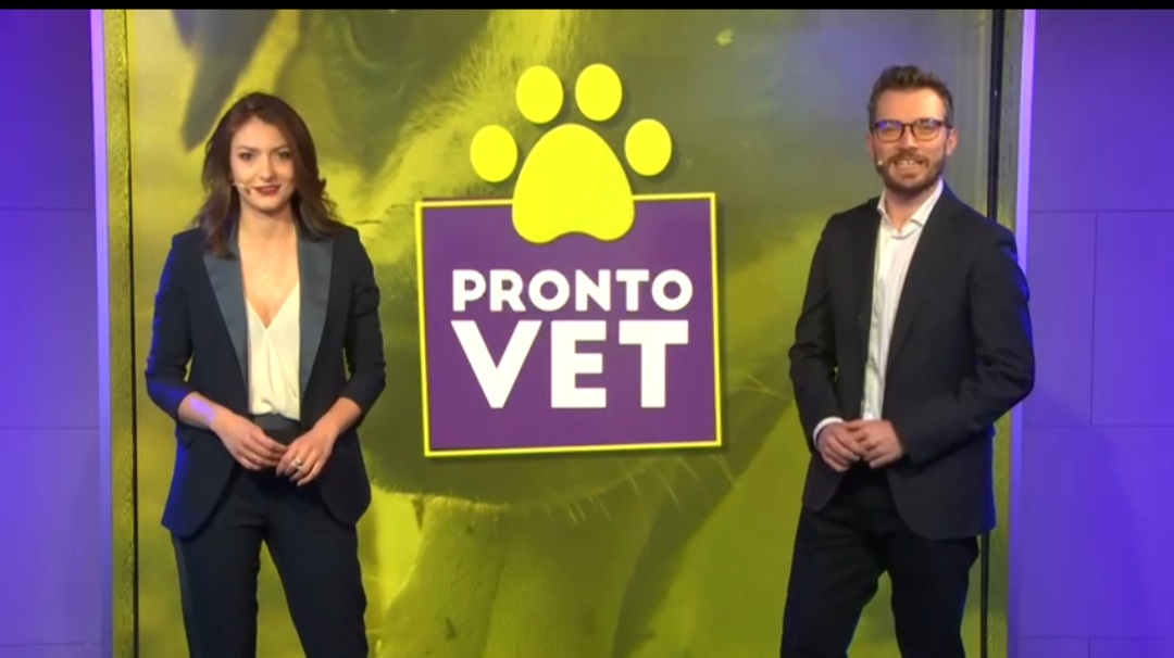 Street Artist e Veterinari Nsl, insieme per MuMu. Una bella iniziativa nata dal format tv “ProntoVet”