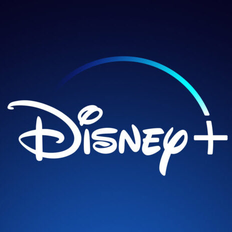 Disney+ ordina la serie originale Wedding Season