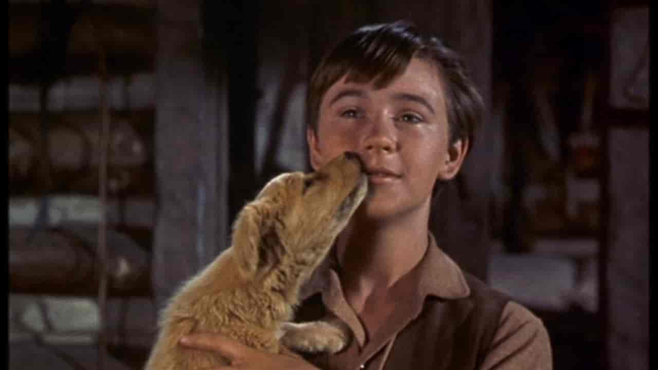 È morto Tommy Kirk, attore bambino dei film d’avventura Disney anni Cinquanta