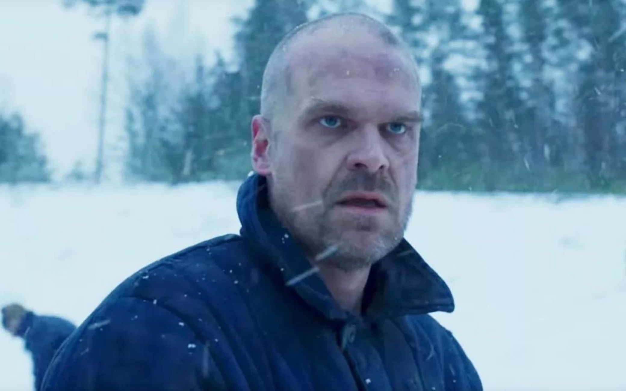 Stranger Things: David Harbour conosce il finale da anni