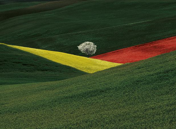 Da Franco Fontana alla mostra sulle zone di conflitto passando per gli scatti di Oliviero Toscani