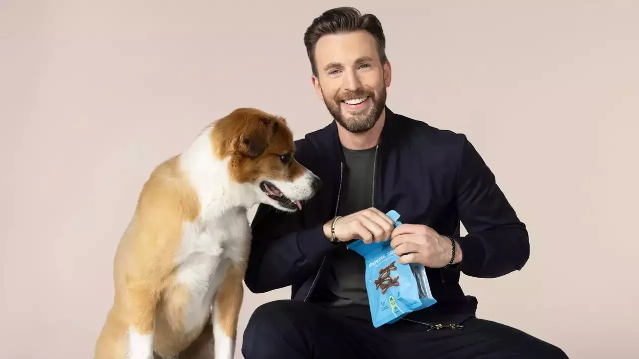 Chris Evans: “Non uscirei mai con qualcuno che non ama i cani”