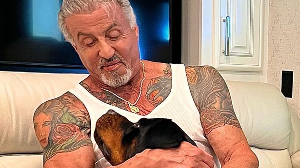 Sylvester Stallone cancella la moglie: sostituisce il tatuaggio del  volto di lei con quello del cane