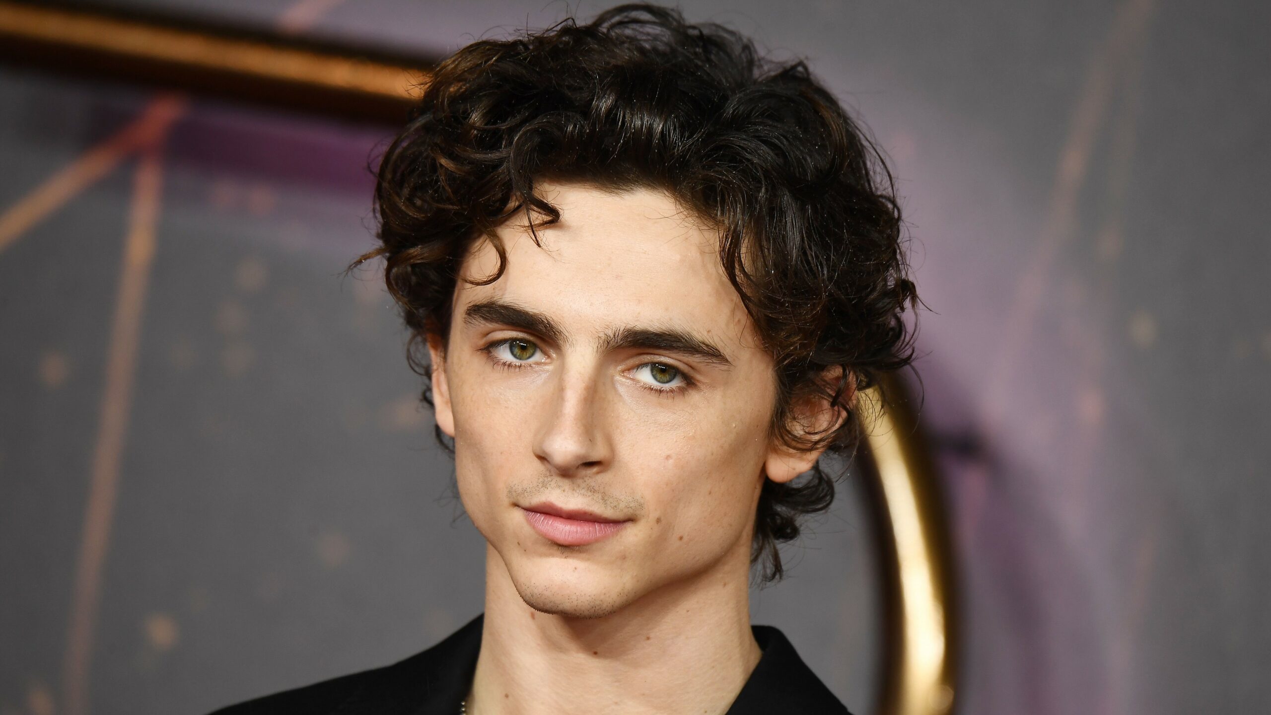 Timothée Chalamet canterà con la sua voce nel biopic su Dylan