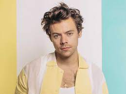 Harry Styles ha fermato il concerto per permettere ad una donna incinta di andare in bagno