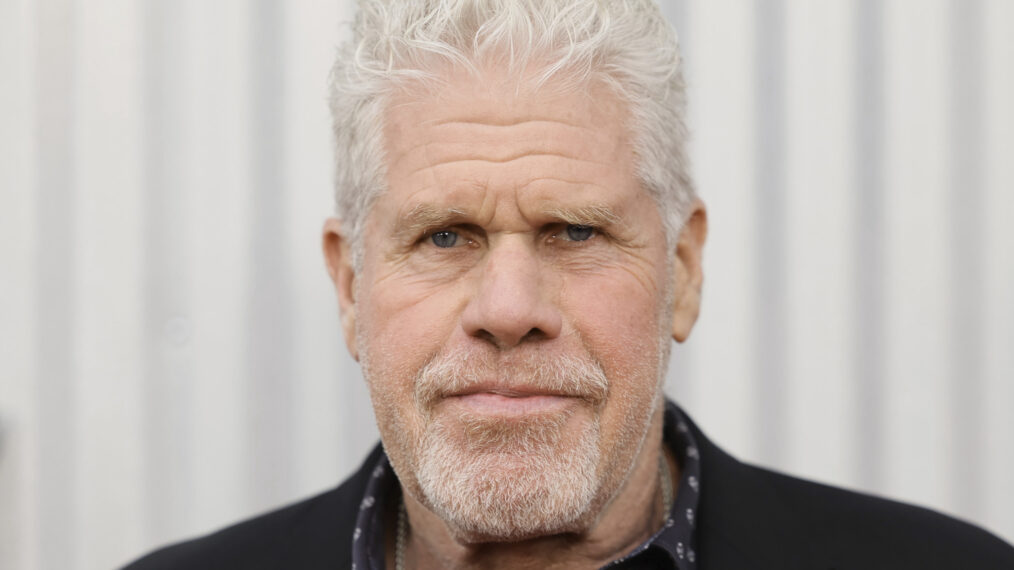 Sciopero attori, Ron Perlman: “Non voglio che nessuno si faccia male”