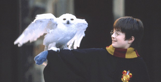 Torna Harry Potter su Italia 1