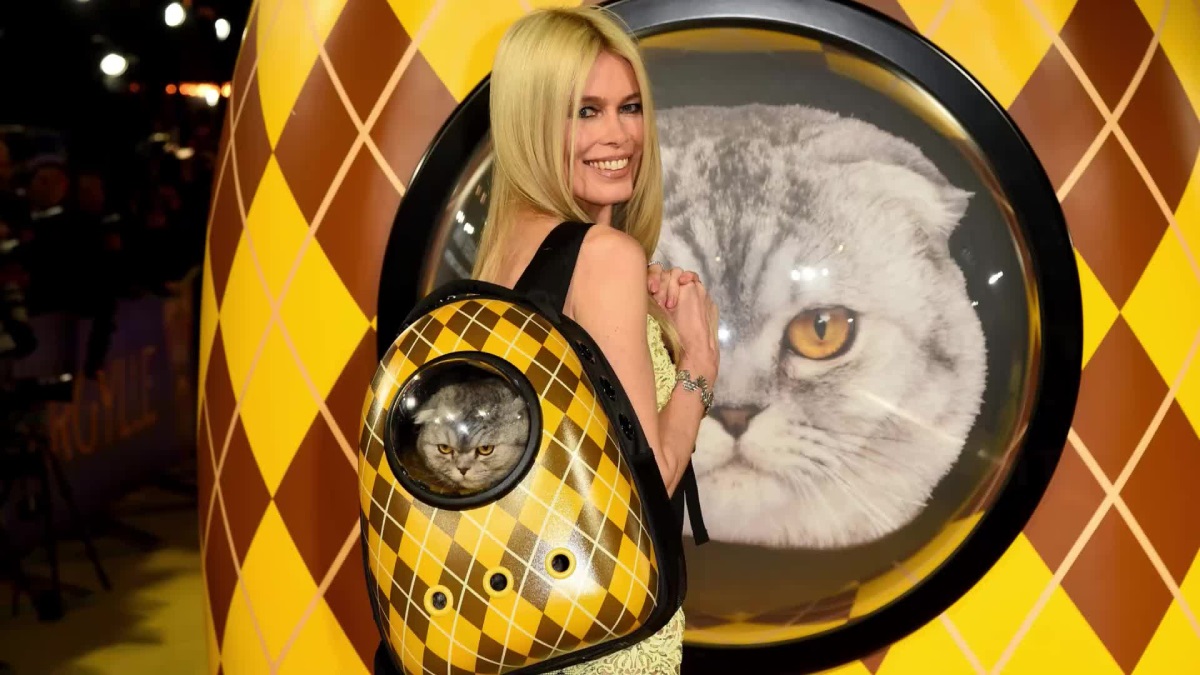 Claudia Schiffer ha sfilato alla première mondiale di “Argylle” insieme al suo gatto Chip che le ha rubato la scena